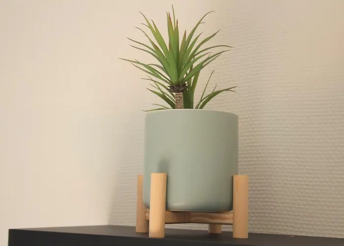 La Goélette Сasa de vacaciones *